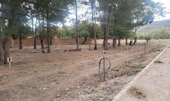 Foto de inmueble en , Col. San Pedro Tesistán C.P. 45830, Jocotepec