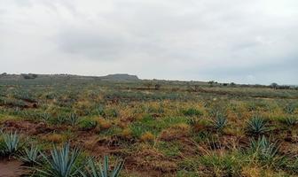 Foto de inmueble en , Col. Santa Cruz de las Flores C.P. 45640, Tlajomulco de Zúñiga