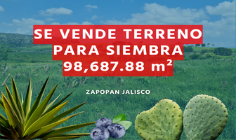 Foto de inmueble en , Col. Santa Lucia C.P. 45200, Zapopan