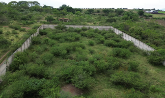 Foto de inmueble en Álvaro Obregón, Col. Santa Rosa C.P. 45860, Ixtlahuacán de los Membrillos