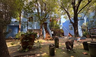 Foto de inmueble en , Col. Seattle C.P. 45150, Zapopan