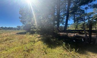 Foto de inmueble en Camino a los reflejos y ferrerta, Col. Tapalpa C.P. 49340, Tapalpa
