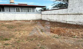 Foto de inmueble en EL SABINO, Col. Tequila Centro C.P. 46400, Tequila