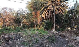 Foto de inmueble en Camino del Comodoro, Club Náutico Puente Viejo, Col. Villas Andalucía C.P. 45887, Juanacatlán