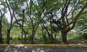 Foto de inmueble en Bosque San Isidro Sur, Col. Zoi Cañadas C.P. 45133, Zapopan