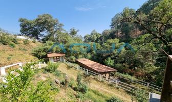 Foto de inmueble en POLVILLOS, Col. Amanalco de Becerra C.P. 51260, Amanalco