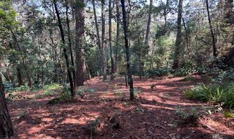 Foto de inmueble en 1310m de Terreno en Avándaro, muy Cerca de Rodavento | Escritrura Pública, Col. Avándaro C.P. 51200, Valle de Bravo