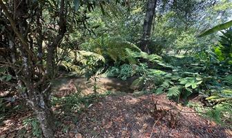 Foto de inmueble en Avandaro, Col. Avándaro C.P. 51200, Valle de Bravo