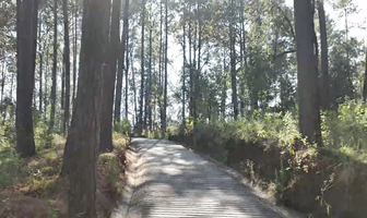Foto de inmueble en Avandaro, Col. Avándaro C.P. 51200, Valle de Bravo