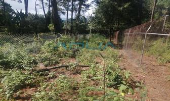 Foto de inmueble en CERRO GORDO, Col. Avándaro C.P. 51200, Valle de Bravo