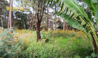 Foto de inmueble en Camino a cerro gordo, Col. Avándaro C.P. 51200, Valle de Bravo