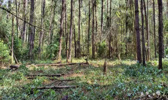 Foto de inmueble en Cerro Gordo #SN, Col. Avándaro C.P. 51200, Valle de Bravo