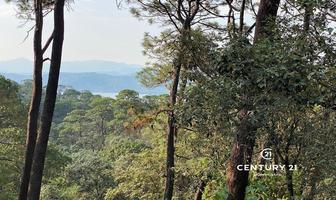 Foto de inmueble en El Pedregal, Col. Avándaro C.P. 51200, Valle de Bravo