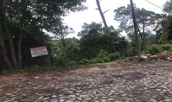 Foto de inmueble en Fontana Pura, Col. Avándaro C.P. 51200, Valle de Bravo