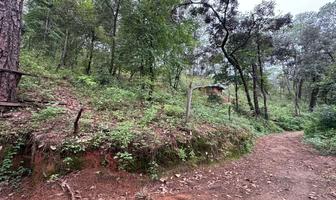 Foto de inmueble en Fontana zarca, Col. Avándaro C.P. 51200, Valle de Bravo