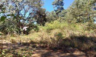 Foto de inmueble en Joya de los zarzales, Col. Avándaro C.P. 51200, Valle de Bravo