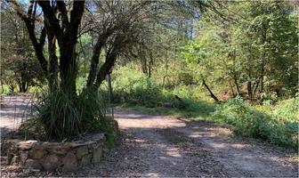 Foto de inmueble en Rancho Avandaro, Col. Avándaro C.P. 51200, Valle de Bravo