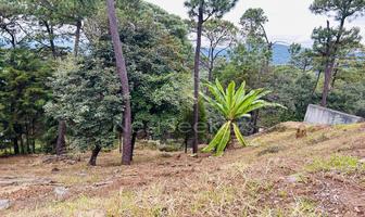 Foto de inmueble en , Col. Avándaro C.P. 51200, Valle de Bravo