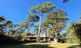Foto de inmueble en Vega del Valle, Col. Avándaro C.P. 51200, Valle de Bravo