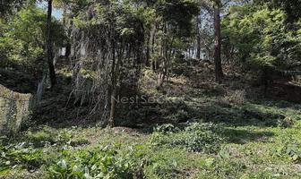 Foto de inmueble en Vega del sauce, Col. Avándaro C.P. 51200, Valle de Bravo