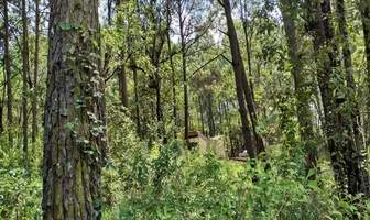 Foto de inmueble en camino a Cerro Gordo, Col. Avándaro C.P. 51200, Valle de Bravo