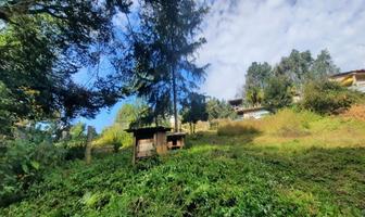 Foto de inmueble en Privada Ailes, Col. Casas Viejas C.P. 51226, Valle de Bravo