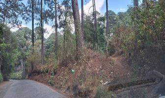 Foto de inmueble en Cerró gordo, Col. Cerro Gordo C.P. 51239, Valle de Bravo