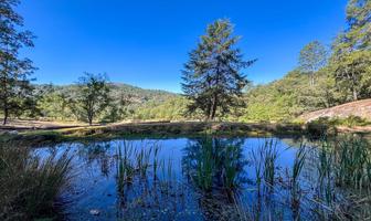 Foto de inmueble en Laguna Negra, Col. Cerro Gordo C.P. 51239, Valle de Bravo