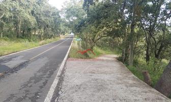 Foto de inmueble en calle ., Col. Chapa de Mota C.P. 54350, Chapa de Mota