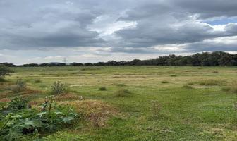 Foto de inmueble en Autopista Tulancingo–Tuxpan Km 27, Col. Club Campestre Teotihuacán C.P. 55855, San Martín de las Pirámides