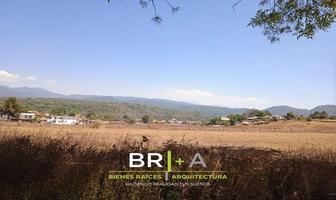 Foto de inmueble en , Col. Cuadrilla de Dolores C.P. 51225, Valle de Bravo