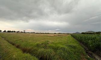 Foto de inmueble en 9846+vv6 Ojo de Agua, Estado de México, Col. De Palmillas C.P. 50285, Toluca