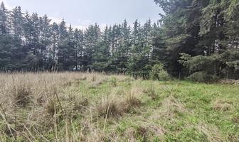 Foto de inmueble en Terreno en Venta en Ocoyoacac, Ejido de la Campana, Col. Ejido la Campana C.P. 52740, Ocoyoacac