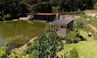 Foto de inmueble en Ejido Cerro Colorado, Col. El Calvario C.P. 51200, Valle de Bravo
