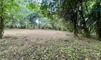 Foto de inmueble en , Col. El Fresno C.P. 51248, Valle de Bravo