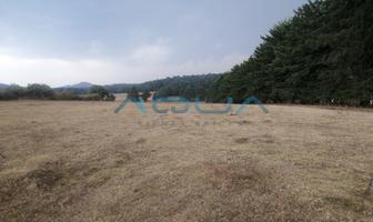 Foto de inmueble en , Col. El Manzano C.P. 51237, Valle de Bravo