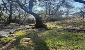 Foto de inmueble en , Col. El Palomar C.P. 54324, Villa del Carbón