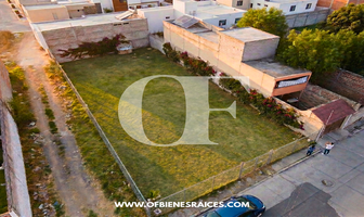 Foto de inmueble en VICENTE FOX, Col. El Xolache I C.P. 56170, Texcoco