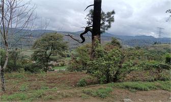 Foto de inmueble en Pipioltepec, Col. Emiliano Zapata C.P. 51200, Valle de Bravo
