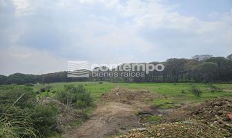 Foto de inmueble en Espíritu Santo, Col. Espíritu Santo C.P. 54570, Jilotzingo