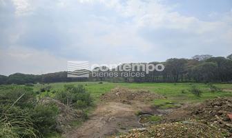 Foto de inmueble en Espíritu Santo, Col. Espíritu Santo C.P. 54570, Jilotzingo