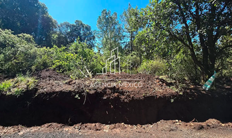 Foto de inmueble en , Col. Espíritu Santo C.P. 54570, Jilotzingo