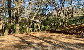 Foto de inmueble en Reserva, Col. Espíritu Santo C.P. 54570, Jilotzingo