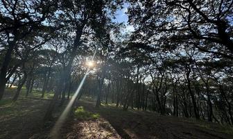 Foto de inmueble en Reserva, Col. Espíritu Santo C.P. 54570, Jilotzingo