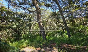 Foto de inmueble en rancho viejo, Col. Hacienda de Valle Escondido C.P. 52937, Atizapán de Zaragoza