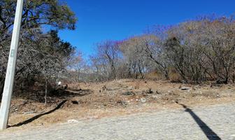 Foto de inmueble en Calle de Iris, Rancho San Diego, Ixtapan de la Sal, Col. Ixtapan de la Sal C.P. 51900, Ixtapan de la Sal