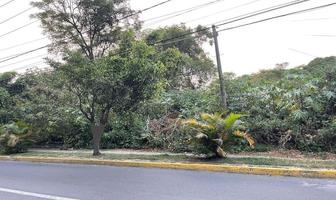 Foto de inmueble en Carretera Federal Ixtapan de La Sal, Col. Ixtapan de la Sal C.P. 51900, Ixtapan de la Sal