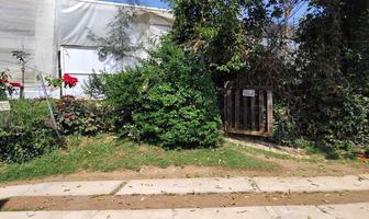 Foto de inmueble en LA JOYA, Col. La Joya C.P. 51775, Villa Guerrero