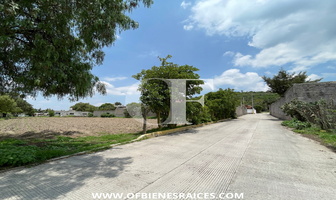 Foto de inmueble en Teacalco, Col. La Purificación Tepetitla C.P. 56240, Texcoco