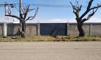 Foto de inmueble en camino a la comunidada, Col. Llano Grande C.P. 52148, Metepec